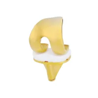 Sanat Swing TiN_fotó