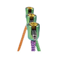 Транспедикулярная фиксация винтами торакально-люмбальной транспедикулярной системы (ТЛТ)